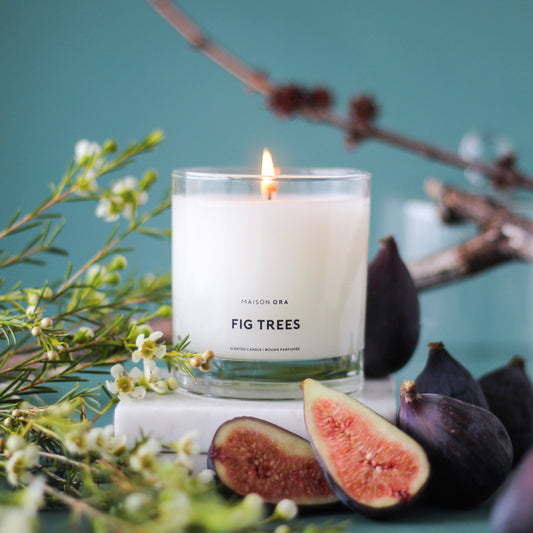 Fig Trees Scented Candle